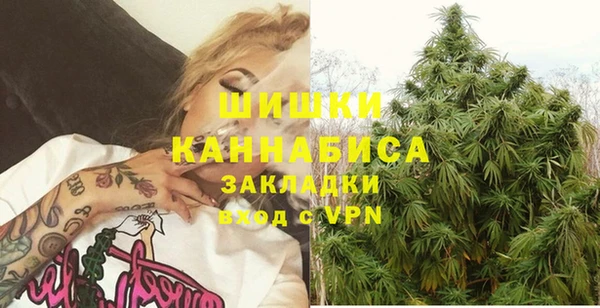 ПСИЛОЦИБИНОВЫЕ ГРИБЫ Алзамай