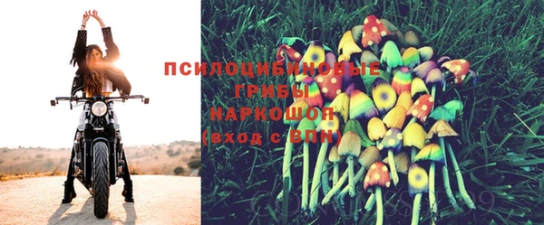 спайс Алексин