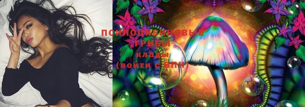 круглые Алексеевка