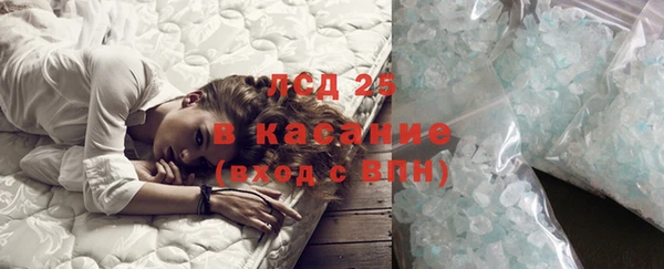 ПСИЛОЦИБИНОВЫЕ ГРИБЫ Алзамай